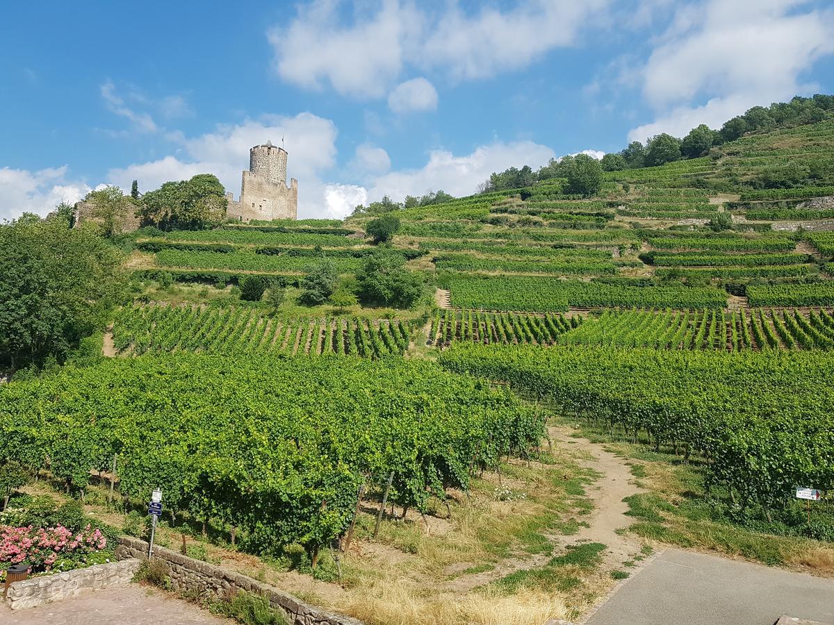 Kaysersberg City Center - Cote Vignoble - المظهر الخارجي الصورة